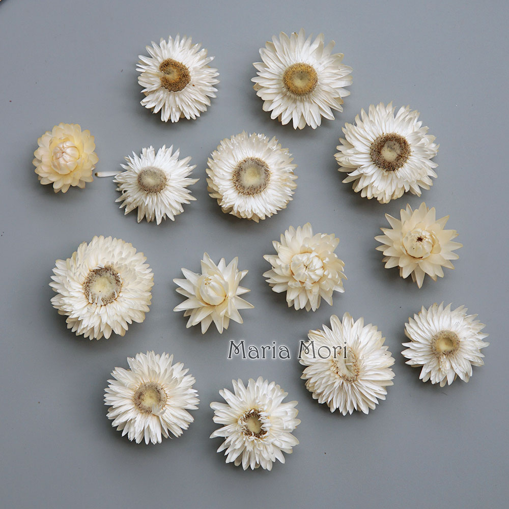 Baby Products Expo - Natürlicher getrockneter bunter Chrysanthemenkranz, handgefertigter Haarschmuck,